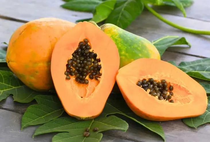 Meo chon du du chin cay va du du xanh lam goi don gian nhat MNMN 4