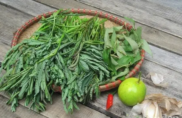 Ăn rau nhút, cả nhà thêm khỏe