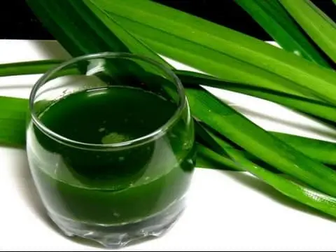 Bật mí những công dụng hay ho của lá dứa với sức khỏe