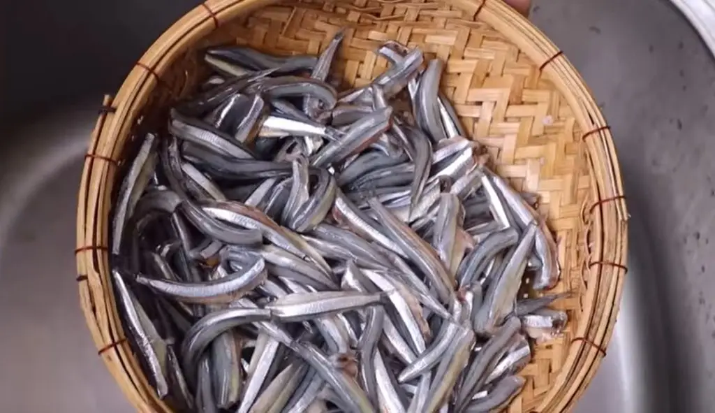 Cá cơm có bao nhiêu loại? Cách phân biệt hiệu quả nhất!