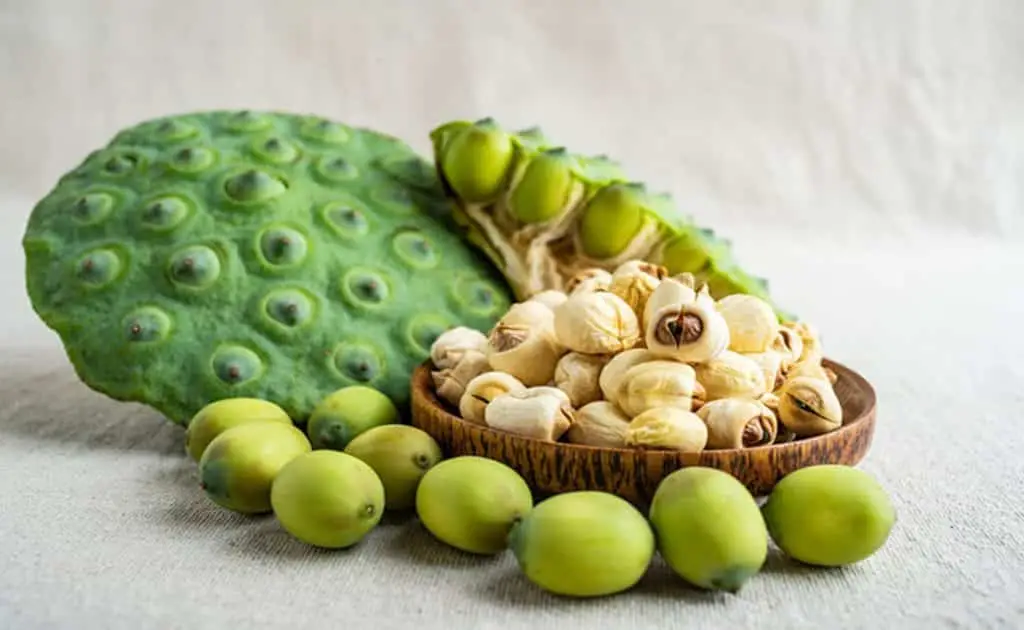 Công dụng của hạt sen và món ăn bổ dưỡng cho Ông Bà