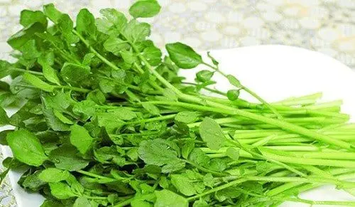 rau cai xoong