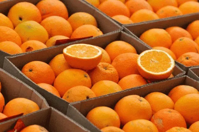 Top 5 thực phẩm c&oacute; chứa nhiều canxi m&agrave; Mẹ phải biết