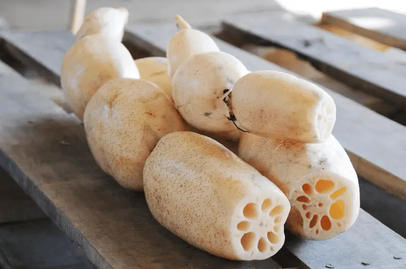 5 loại thực phẩm màu trắng quen thuộc tốt cho sức khoẻ