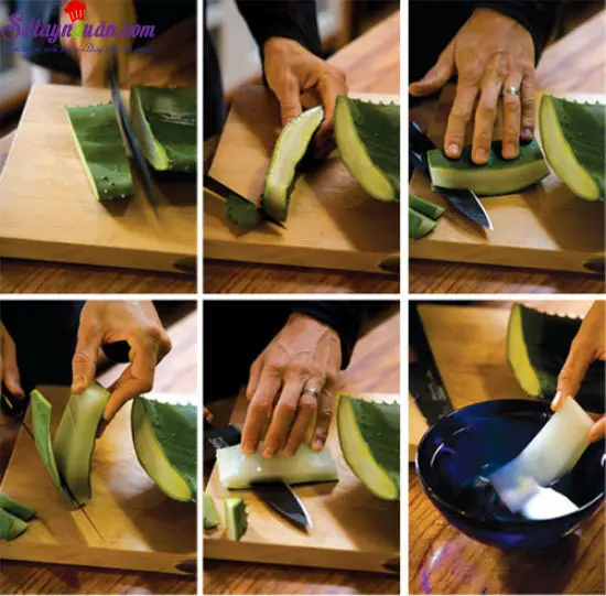 c&aacute;ch nấu ch&egrave; nha đam 3