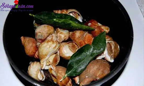 Hướng dẫn l&agrave;m m&oacute;n ngh&ecirc;u nướng ốc luộc thơm ngon hấp dẫn 5