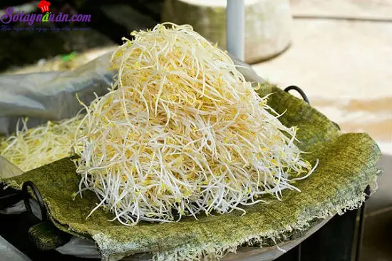 Hướng dẫn cách làm giá đỗ ở nhà an toàn hợp vệ sinh