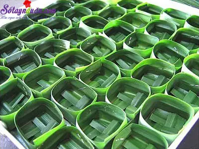 c&aacute;ch l&agrave;m thạch dừa th&aacute;i 4
