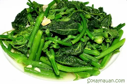 Hướng dẫn nấu rau bí xào tỏi – Món ngon dễ làm cho bữa ăn